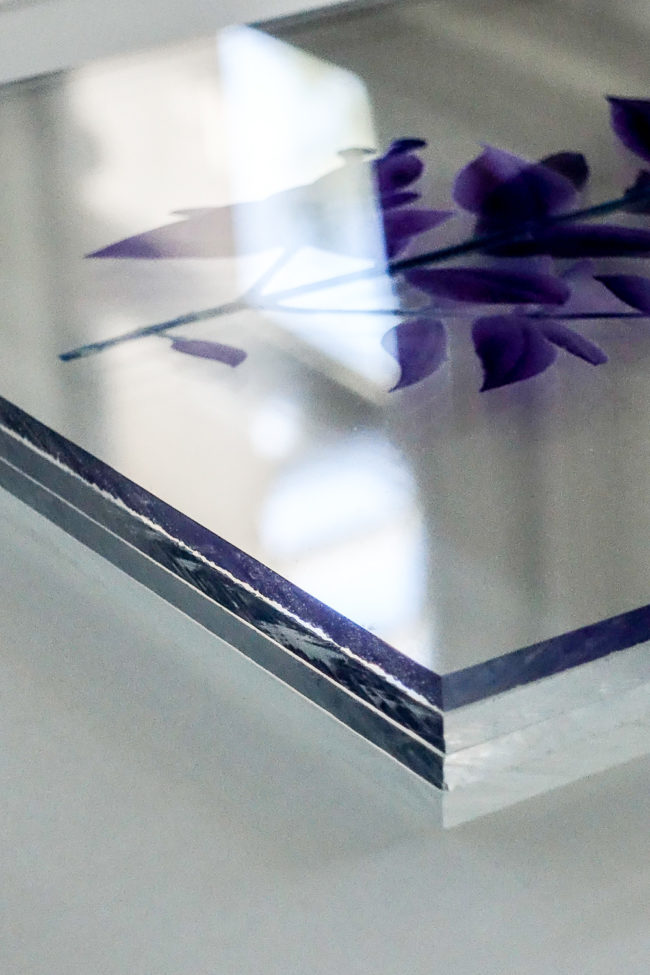 Numérisation directe de végétaux, fleurs, fruits. impressions UV altuglass. Artemis 20 x 32 cm. Myrtus communis I. Myrtus communis III. Myrtus communis VII b.