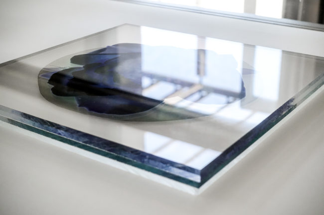 Numérisation directe de végétaux, fleurs, fruits. impressions UV altuglass. Aphrodite 22 x 22 cm. Myrtus communis. Punica granatum. Rosa.